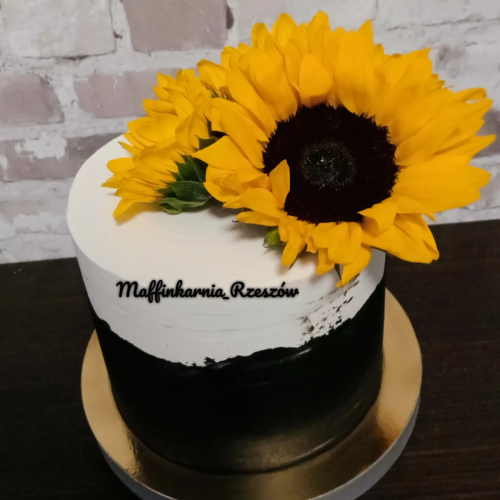 IMG_20211216_141846_392