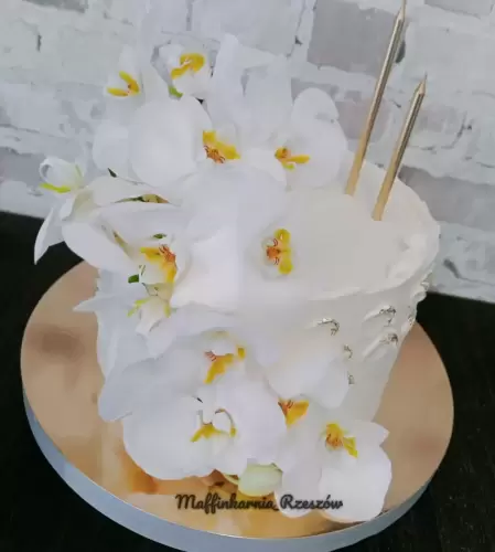 IMG_20220824_131204_514