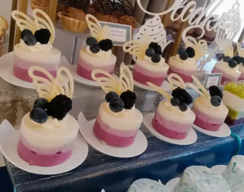 IMG_20220825_111351_758