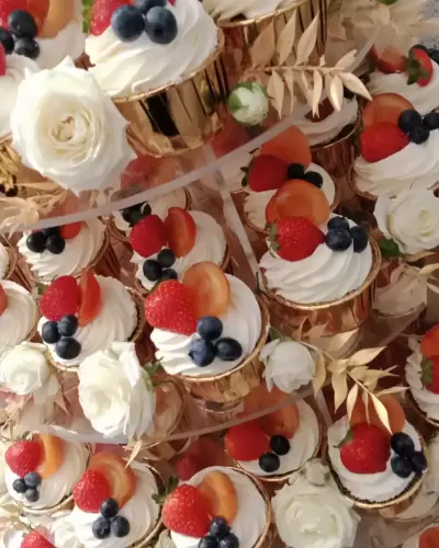 IMG_20220830_101344_537