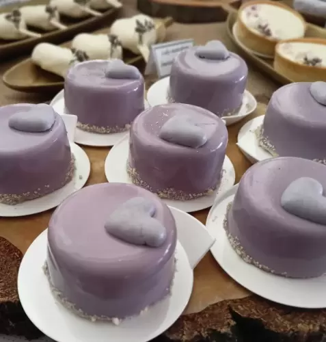 IMG_20220902_135715_268