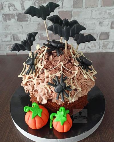 IMG_20221108_103554_655